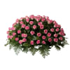 Large dome-shaped spray of pink roses with a border of ferns