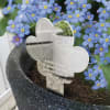 Blue forget-me-not flowers in a black pot with a paw-print memorial marker