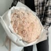 50 beige dianthus