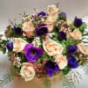 Round arrangement of peach roses and deep purple anemones with airy filler on a white background