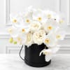 White orchids and cream roses arranged in a black hatbox