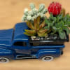 Blue toy truck holding a small succulent planter