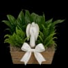 A peaceful sympathy planter featuring lush greenery and a graceful angel figurine