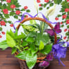 Potted green plant in a wicker basket with purple ribbon and butterfly decorations