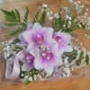 Pink orchids with white baby's breath in a clear box