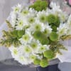 Bouquet of white daisies and green pompon chrysanthemums wrapped in clear paper