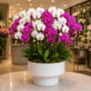 White and magenta orchids arranged in a white planter