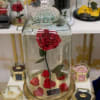 Single red rose under a glass dome with scattered petals