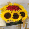 Boxed bouquet of red roses surrounded by bright yellow sunflowers