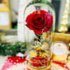 Single red rose under a clear glass dome on a gold base