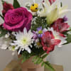 Playful and perfect for gifting, especially for birthdays, get-well wishes, or to
