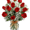 Twelve gorgeous red roses in a vase
