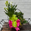 A refined expression of natural beauty, Grace in Bloom features an elegant