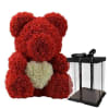 Red rose teddy bear with a clear gift box