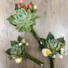 Three succulent boutonnieres with small roses and pink berry accents