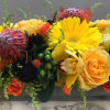 Pincushion protea, scabiosa, gerbera daisies, roses, hypericum berries and spray roses in