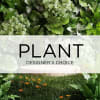 Plant designer's choice graphic with assorted green foliage and orange flowers