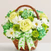Basket arrangement of pale yellow roses, white daisies, and green carnations with a shamrock ribbon