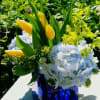 Yellow tulips and pale blue hydrangeas arranged in a cobalt blue glass cube vase