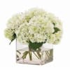 Compact arrangement of white hydrangeas in a clear glass cube vase with visible stems in water