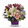 Multicolor flowers in a cute container
