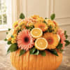 Orange gerbera daisies and citrus slices arranged in a pumpkin