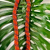 Orange flower lei on large split green leaves