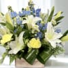 Blue and white floral arrangement with a "It's a Boy" sign in a wooden box