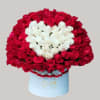 Red and white roses arranged in a round hatbox