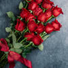 Bouquet of red roses with a red ribbon on a gray background