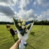 Bouquet of white and blue roses wrapped in white paper