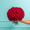 Large bouquet of red roses held against a blue wall