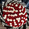 Large bouquet of red and white roses wrapped in black patterned paper