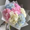 Beautiful Hydrangea arrangement featuring mixed seasonal colors based on store availability. Each