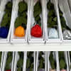 Single Preserved Real Roses