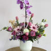 A graceful purple Phalaenopsis orchid stem rises above a soft pastel cloud