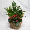 All kinds of gorgeous greens fill this basket that makes a perfect