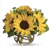 sunflowers, salal leaves, in a glass bubble bowl. deluxe comes with spray