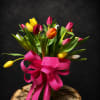 A bright cluster of tulips that reads like a springtime celebration-Tiptoe Through