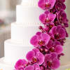A dramatic "waterfall" of fuchsia phaleanopsis orchids (or color of your choice)