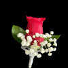 A single red rosebud takes center stage in this Red Boutonni&egrave;re (for