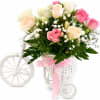 Pink and cream roses in a white tricycle basket with a pink ribbon