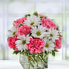 Pink carnations and white daisies in a square glass vase