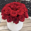 Red roses arranged in a white round box
