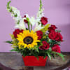 Sunflower and red rose arrangement in a red container