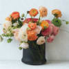 Bouquet of peach, pink, and white ranunculus in a dark vase