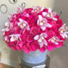 75 Premium Roses with cymbidium orchids in a Velvet Box
