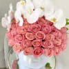 50 Roses with a stem of orchids in our Signature Box