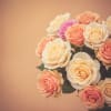 Bouquet of peach, cream, and pink roses
