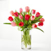 Bouquet of pink and red tulips in a clear glass vase